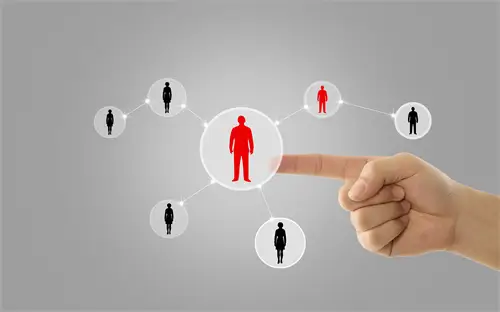 猫带我去哪里旅游呢